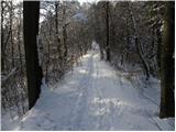 Stara Vrhnika - Koča na Planini nad Vrhniko